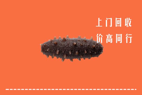 高价求购：南昌西湖回收海参