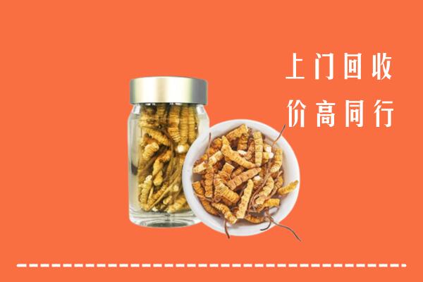 南昌西湖回收冬虫夏草