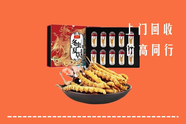 南昌西湖回收虫草